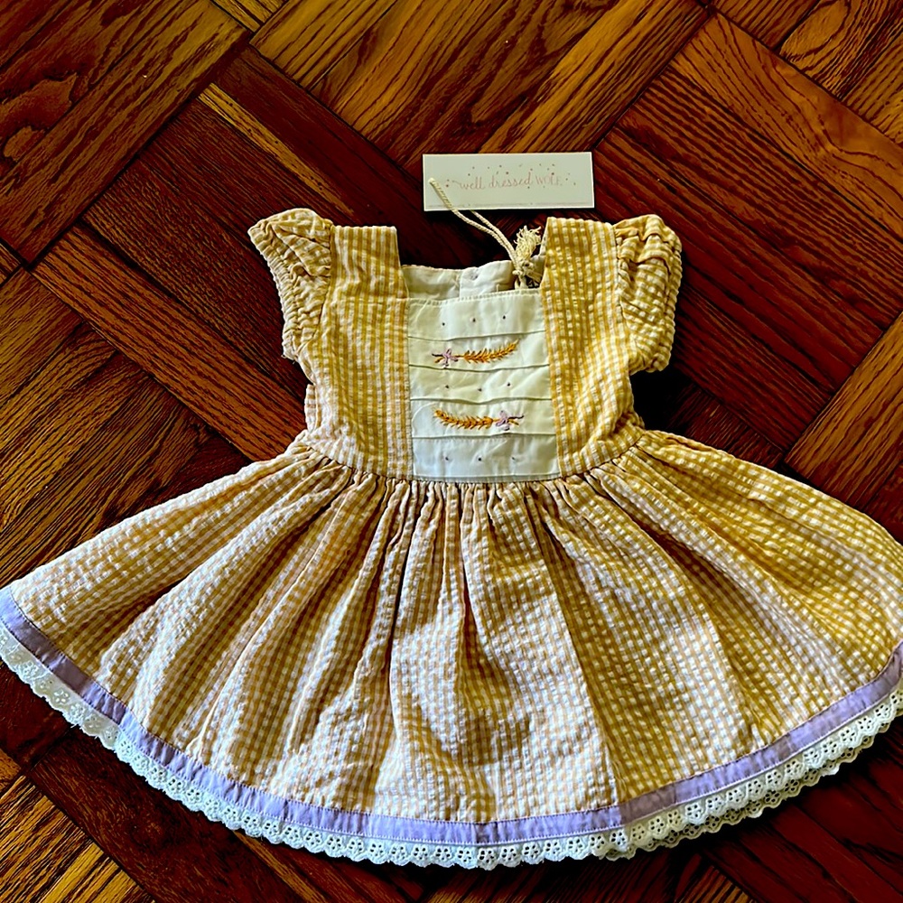 Well Dressed Wolf Happy Harvest Dress 12m.  New with tags. Smoke/pet free home.